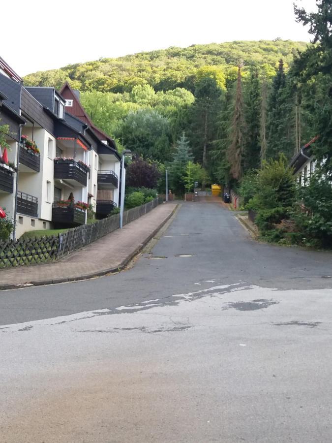 Ferienwohnung Malia In Waldnaehe Mit Schoenem Balkonausblick Bad Harzburg Exterior foto